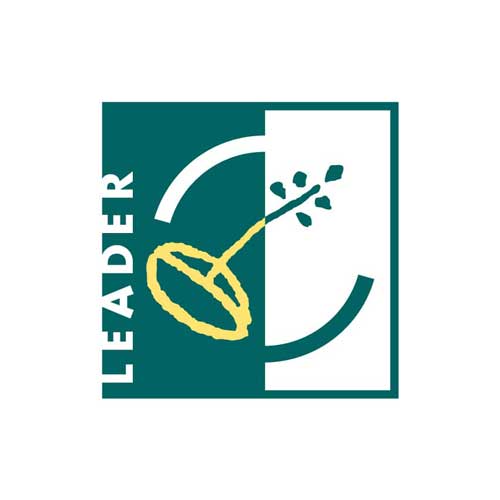 Logo_LEADER_Quadri