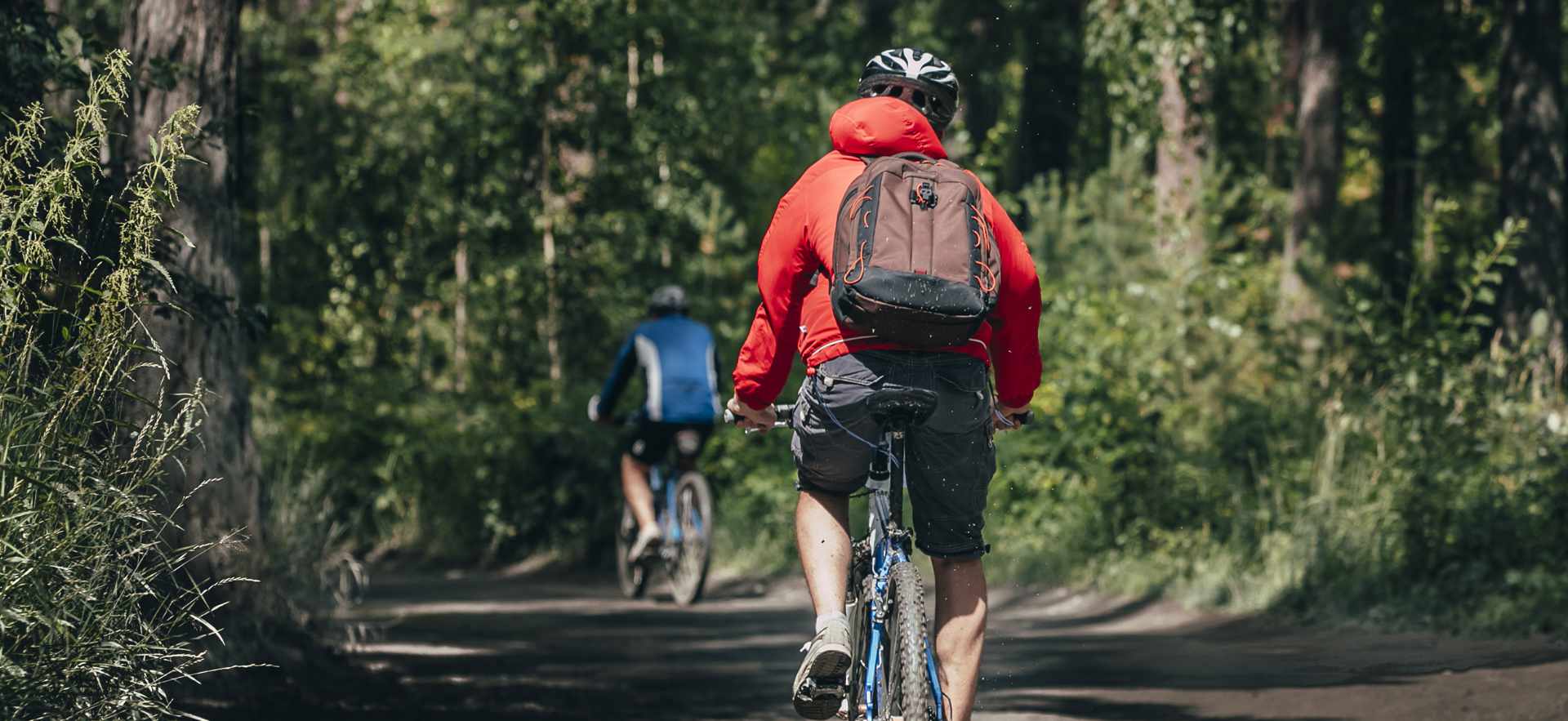 Mountainbiker rides in forest